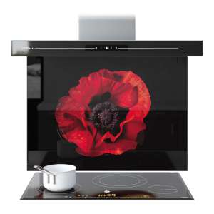 Glass Splashbacks sb/157 Visualisation