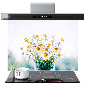 Glass Splashbacks sb/1447 Visualisation