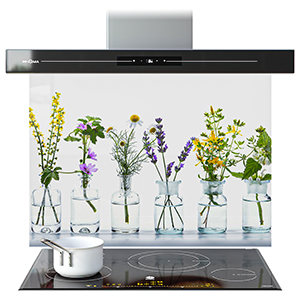 Glass Splashbacks 1727 Visualisation