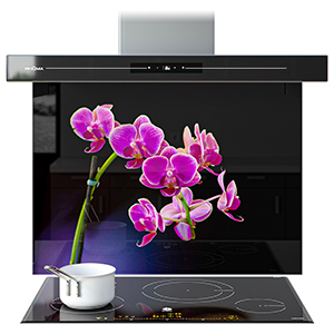 Glass Splashbacks 1901 Visualisation