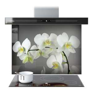 Glass Splashbacks 66415228n Visualisation