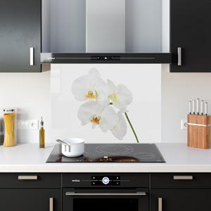Glass Splashback ID 84769401n&nbsp; Visualisation